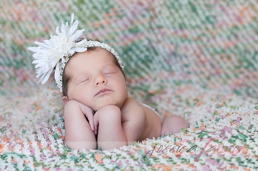 newborn portraits