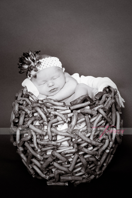 newborn portrait studio