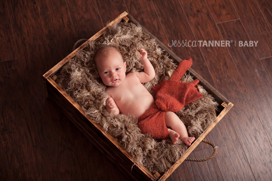 Flowery Branch, Ga Baby Photographer Jessica Tanner Photography Jefferson Ga 4