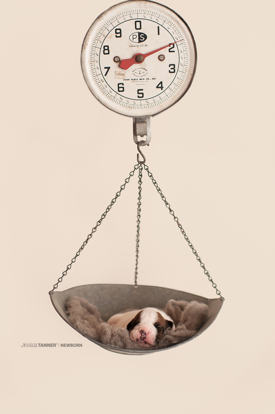 Newborn Photography Jessica Tanner Photography Atlanta Ga 11