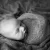 forsyth-county-newborn-photographer